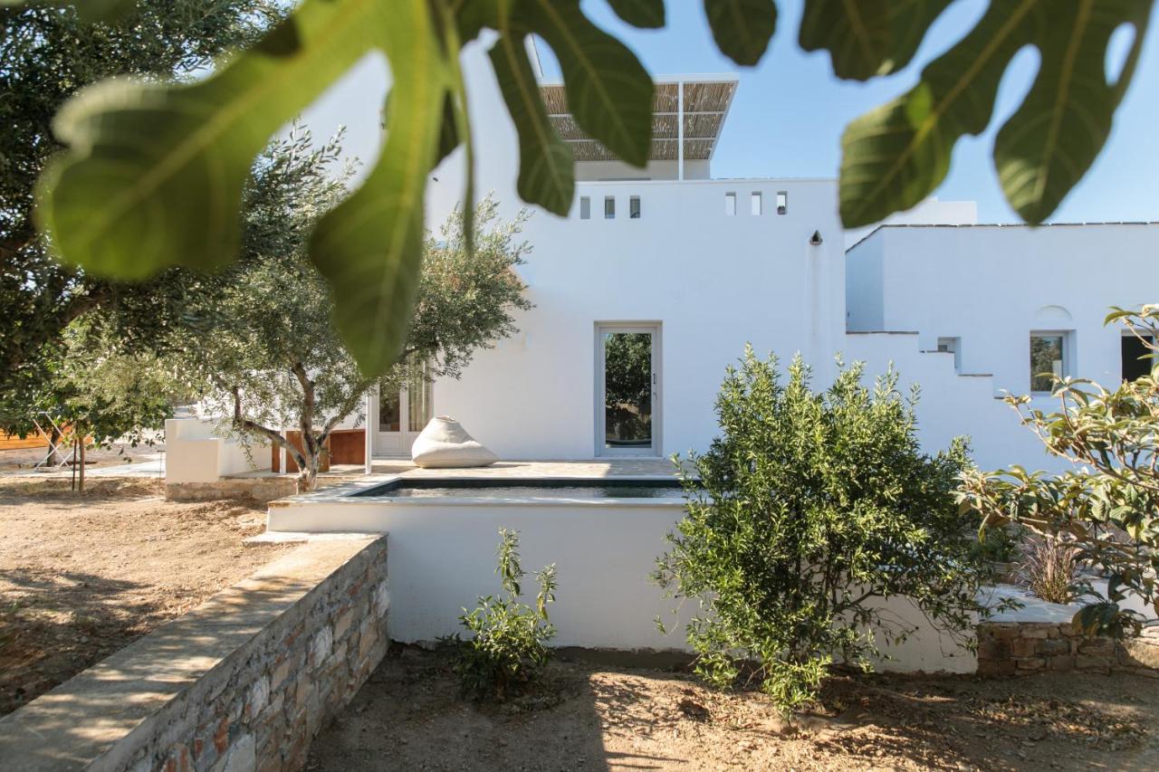 Ostria Inn Μουτσούνα Εξωτερικό φωτογραφία